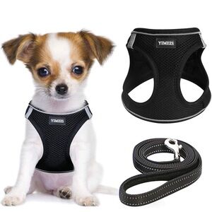 Black Dog Harness and Leash Set